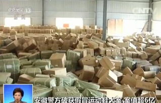 假冒运动鞋案告破涉案金额达6亿多元是目前国内最大的假冒品牌运动鞋案