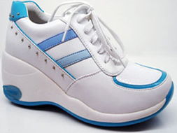 巨日鞋业产品指南 普通会员专享